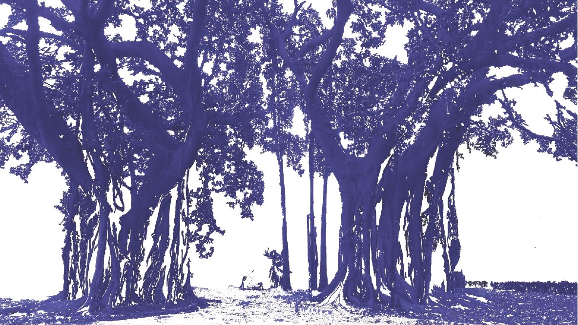 Bellezza e Natura, copertina del volume