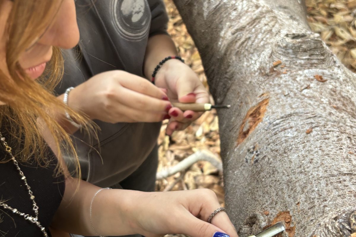 Laboratorio a cura del Liceo Artistico Eustachio Catalano di Palermo al Fablab