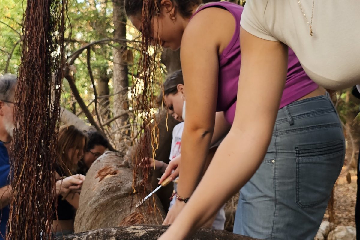 Laboratorio a cura del Liceo Artistico Eustachio Catalano di Palermo al Fablab